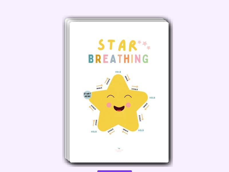 Emotional Regulation Kit